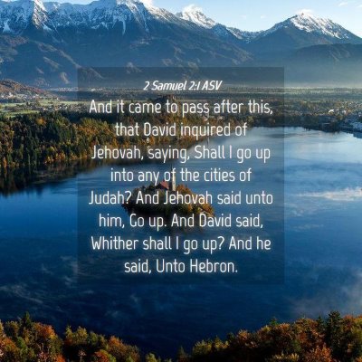 Picture 04 - 2 Samuel 2:1 ASV - And it came to pass after this, that David - Bible Verse Picture