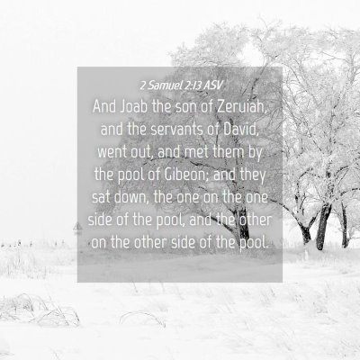 Picture 04 - 2 Samuel 2:13 ASV - And Joab the son of Zeruiah, and the servants of - Bible Verse Picture
