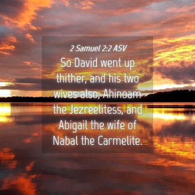Picture 04 - 2 Samuel 2:2 ASV - So David went up thither, and his two wives also, - Bible Verse Picture