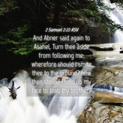 Picture 04 - 2 Samuel 2:22 ASV - And Abner said again to Asahel, Turn thee aside - Bible Verse Picture