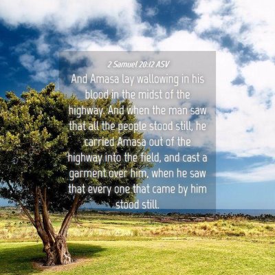 Picture 04 - 2 Samuel 20:12 ASV - And Amasa lay wallowing in his blood in the midst - Bible Verse Picture