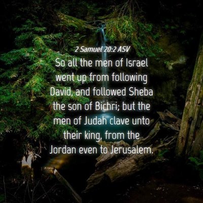Picture 04 - 2 Samuel 20:2 ASV - So all the men of Israel went up from following - Bible Verse Picture