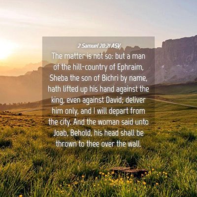 Picture 04 - 2 Samuel 20:21 ASV - The matter is not so: but a man of the - Bible Verse Picture