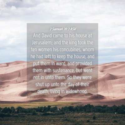 Picture 04 - 2 Samuel 20:3 ASV - And David came to his house at Jerusalem; and the - Bible Verse Picture