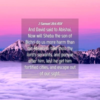 Picture 04 - 2 Samuel 20:6 ASV - And David said to Abishai, Now will Sheba the son - Bible Verse Picture