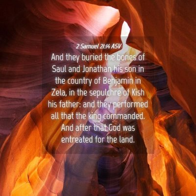 Picture 04 - 2 Samuel 21:14 ASV - And they buried the bones of Saul and Jonathan - Bible Verse Picture