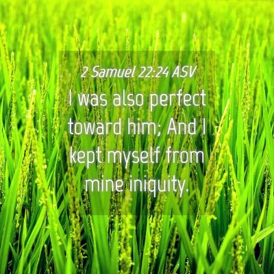 Picture 04 - 2 Samuel 22:24 ASV - I was also perfect toward him; And I kept myself - Bible Verse Picture