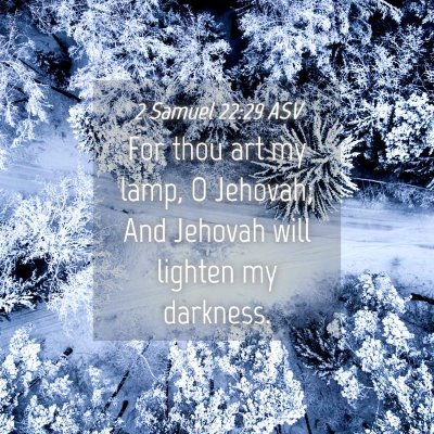 Picture 04 - 2 Samuel 22:29 ASV - For thou art my lamp, O Jehovah; And Jehovah will - Bible Verse Picture