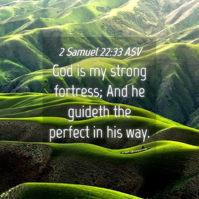 Picture 04 - 2 Samuel 22:33 ASV - God is my strong fortress; And he guideth the - Bible Verse Picture