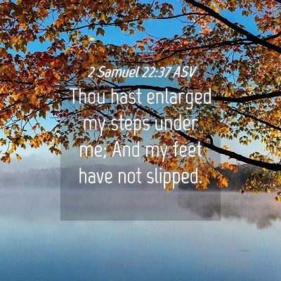 Picture 04 - 2 Samuel 22:37 ASV - Thou hast enlarged my steps under me; And my feet - Bible Verse Picture