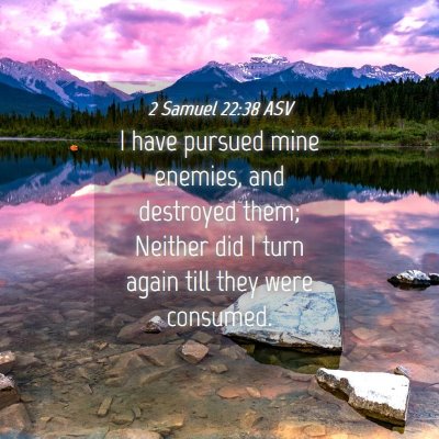 Picture 04 - 2 Samuel 22:38 ASV - I have pursued mine enemies, and destroyed them; - Bible Verse Picture