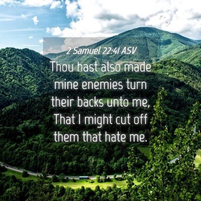 Picture 04 - 2 Samuel 22:41 ASV - Thou hast also made mine enemies turn their backs - Bible Verse Picture