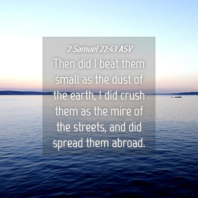 Picture 04 - 2 Samuel 22:43 ASV - Then did I beat them small as the dust of the - Bible Verse Picture
