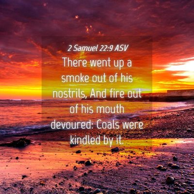 Picture 04 - 2 Samuel 22:9 ASV - There went up a smoke out of his nostrils, And - Bible Verse Picture
