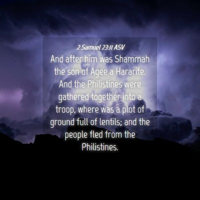 Picture 04 - 2 Samuel 23:11 ASV - And after him was Shammah the son of Agee a - Bible Verse Picture