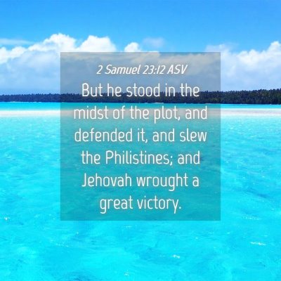 Picture 04 - 2 Samuel 23:12 ASV - But he stood in the midst of the plot, and - Bible Verse Picture