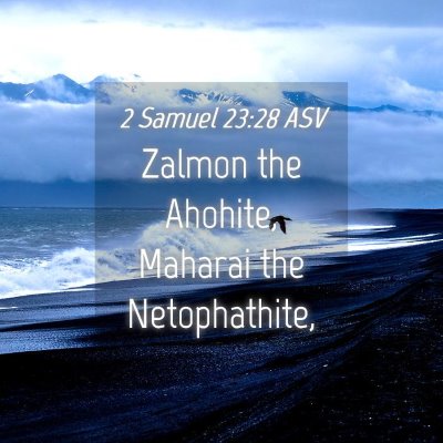 Picture 04 - 2 Samuel 23:28 ASV - Zalmon the Ahohite, Maharai the - Bible Verse Picture