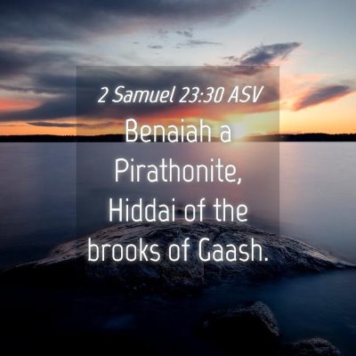 Picture 04 - 2 Samuel 23:30 ASV - Benaiah a Pirathonite, Hiddai of the brooks of - Bible Verse Picture