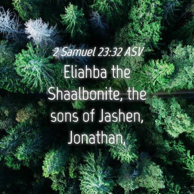 Picture 04 - 2 Samuel 23:32 ASV - Eliahba the Shaalbonite, the sons of Jashen, - Bible Verse Picture