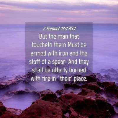 Picture 04 - 2 Samuel 23:7 ASV - But the man that toucheth them Must be armed with - Bible Verse Picture