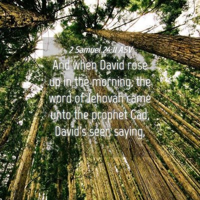 Picture 04 - 2 Samuel 24:11 ASV - And when David rose up in the morning, the word - Bible Verse Picture