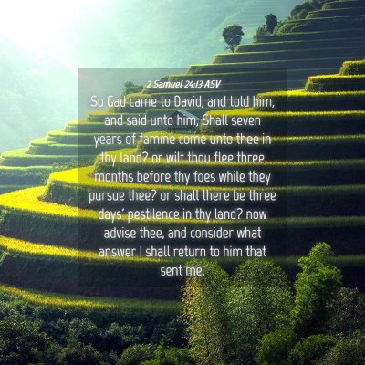 Picture 04 - 2 Samuel 24:13 ASV - So Gad came to David, and told him, and said unto - Bible Verse Picture