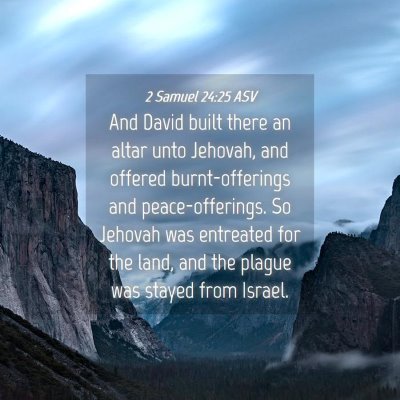 Picture 04 - 2 Samuel 24:25 ASV - And David built there an altar unto Jehovah, and - Bible Verse Picture