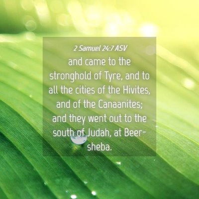 Picture 04 - 2 Samuel 24:7 ASV - and came to the stronghold of Tyre, and to all - Bible Verse Picture
