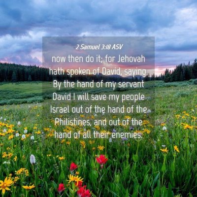 Picture 04 - 2 Samuel 3:18 ASV - now then do it; for Jehovah hath spoken of David, - Bible Verse Picture