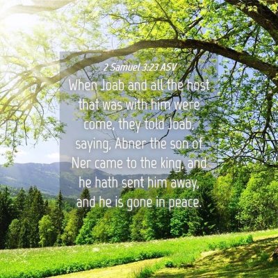 Picture 04 - 2 Samuel 3:23 ASV - When Joab and all the host that was with him were - Bible Verse Picture