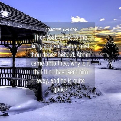 Picture 04 - 2 Samuel 3:24 ASV - Then Joab came to the king, and said, What hast - Bible Verse Picture
