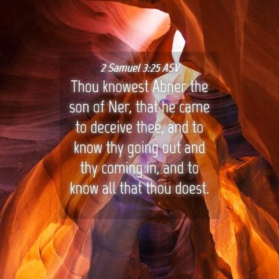Picture 04 - 2 Samuel 3:25 ASV - Thou knowest Abner the son of Ner, that he came - Bible Verse Picture