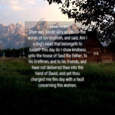 Picture 04 - 2 Samuel 3:8 ASV - Then was Abner very wroth for the words of - Bible Verse Picture