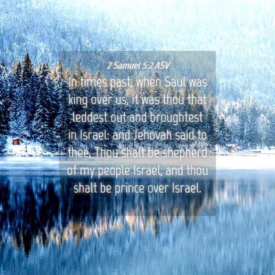Picture 04 - 2 Samuel 5:2 ASV - In times past, when Saul was king over us, it was - Bible Verse Picture