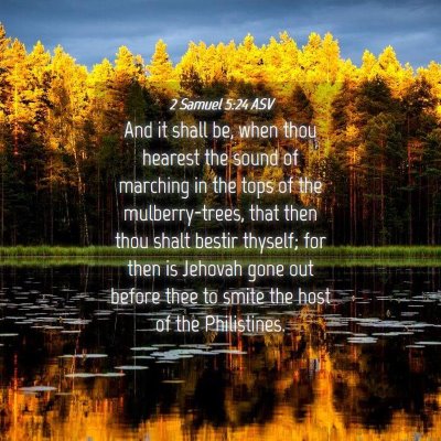 Picture 04 - 2 Samuel 5:24 ASV - And it shall be, when thou hearest the sound of - Bible Verse Picture