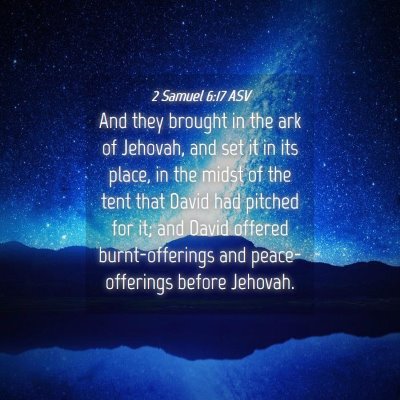Picture 04 - 2 Samuel 6:17 ASV - And they brought in the ark of Jehovah, and set - Bible Verse Picture