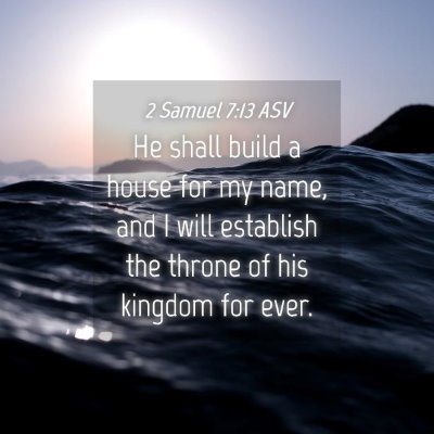 Picture 04 - 2 Samuel 7:13 ASV - He shall build a house for my name, and I will - Bible Verse Picture