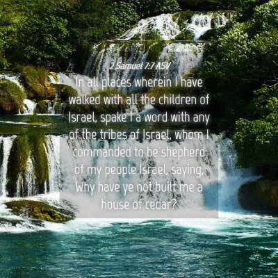 Picture 04 - 2 Samuel 7:7 ASV - In all places wherein I have walked with all the - Bible Verse Picture