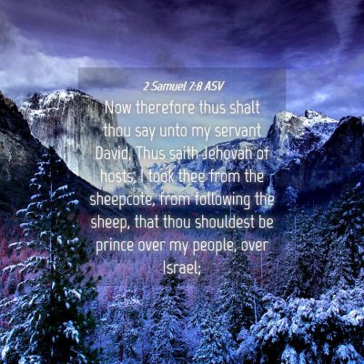 Picture 04 - 2 Samuel 7:8 ASV - Now therefore thus shalt thou say unto my servant - Bible Verse Picture
