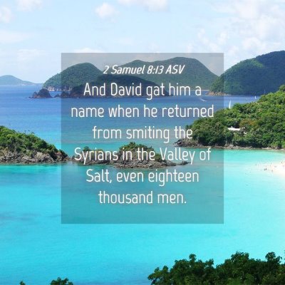 Picture 04 - 2 Samuel 8:13 ASV - And David gat him a name when he returned from - Bible Verse Picture
