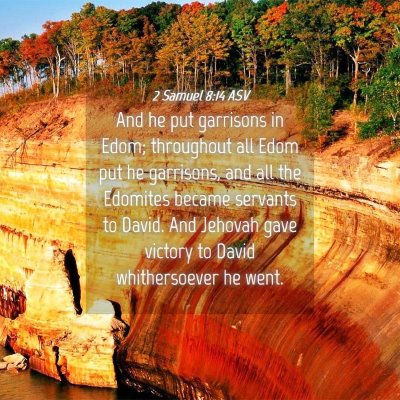 Picture 04 - 2 Samuel 8:14 ASV - And he put garrisons in Edom; throughout all Edom - Bible Verse Picture