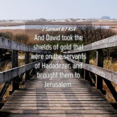 Picture 04 - 2 Samuel 8:7 ASV - And David took the shields of gold that were on - Bible Verse Picture