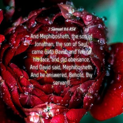 Picture 04 - 2 Samuel 9:6 ASV - And Mephibosheth, the son of Jonathan, the son of - Bible Verse Picture