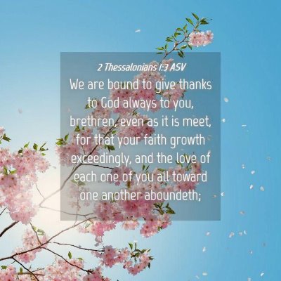 Picture 04 - 2 Thessalonians 1:3 ASV - We are bound to give thanks to God always to you, - Bible Verse Picture