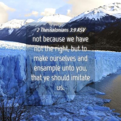 Picture 04 - 2 Thessalonians 3:9 ASV - not because we have not the right, but to make - Bible Verse Picture