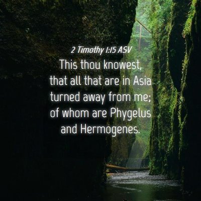 Picture 04 - 2 Timothy 1:15 ASV - This thou knowest, that all that are in Asia - Bible Verse Picture