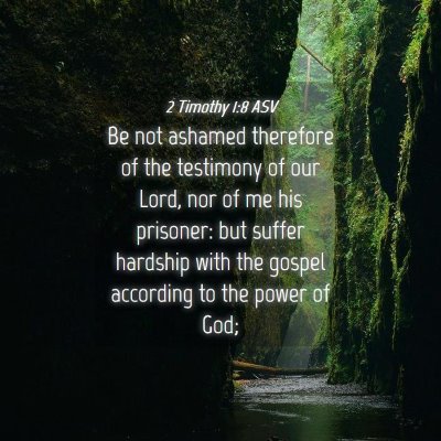 Picture 04 - 2 Timothy 1:8 ASV - Be not ashamed therefore of the testimony of our - Bible Verse Picture