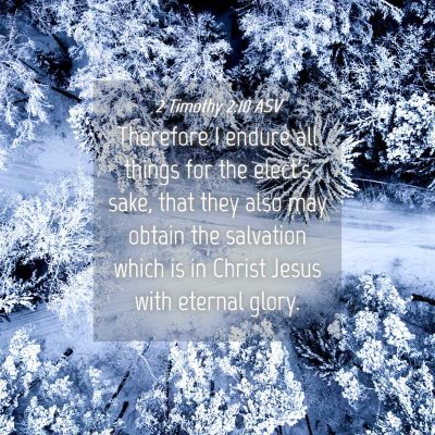 Picture 04 - 2 Timothy 2:10 ASV - Therefore I endure all things for the elect's - Bible Verse Picture