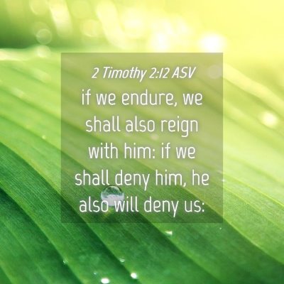 Picture 04 - 2 Timothy 2:12 ASV - if we endure, we shall also reign with him: if we - Bible Verse Picture