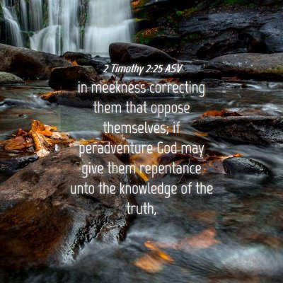 Picture 04 - 2 Timothy 2:25 ASV - in meekness correcting them that oppose - Bible Verse Picture